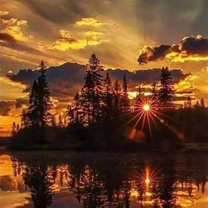 Meet your Posher, Ricky